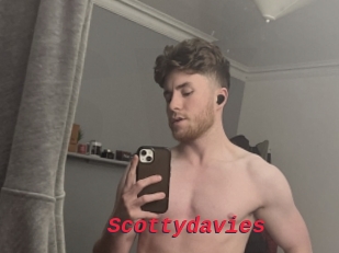 Scottydavies