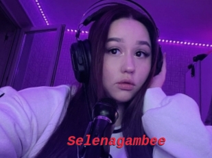 Selenagambee