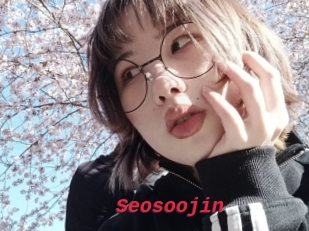 Seosoojin