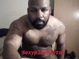 Sexyplayboytoy