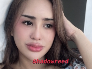 Shadowreed