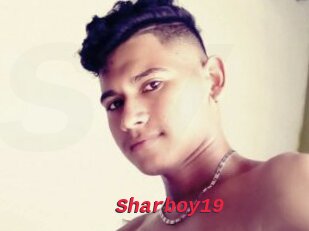 Sharboy19