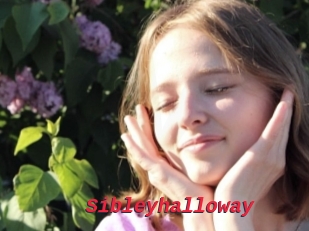 Sibleyhalloway