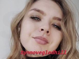 Synnovegledhill