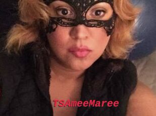 TSAmeeMaree