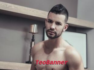 TeoBanner