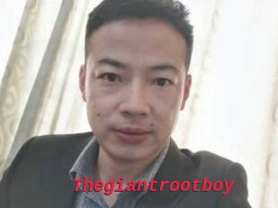 Thegiantrootboy