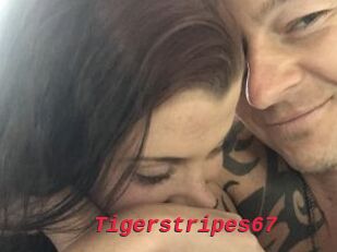 Tigerstripes67