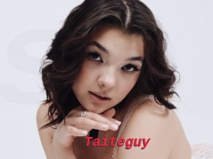 Taiteguy