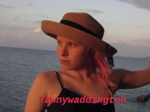 Tawnywaddington