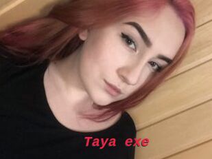 Taya_exe