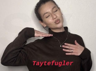 Taytefugler
