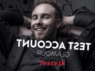 Testvik