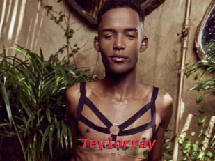 Teylorray