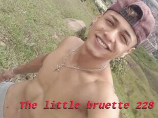 The_little_bruette_228