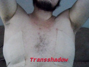 Transshadow