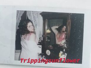 Trippingsunflower
