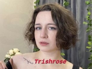 Trishrose