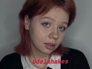 Udelahakes