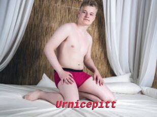 Urnicepitt