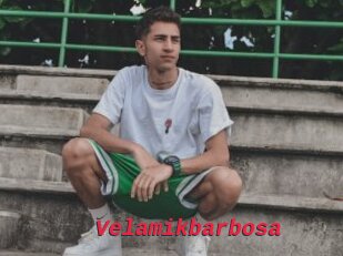 Velamikbarbosa