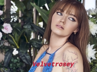 Velvetrosey