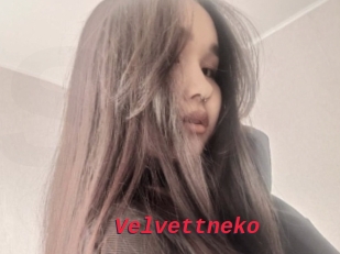 Velvettneko