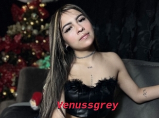 Venussgrey