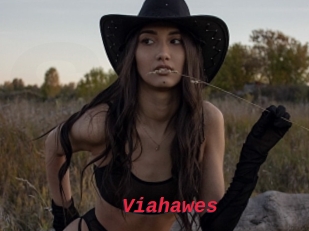 Viahawes