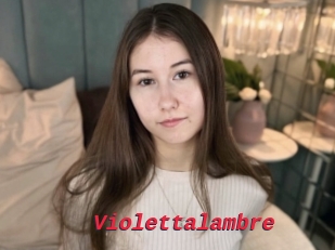 Violettalambre