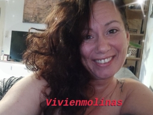 Vivienmolinas