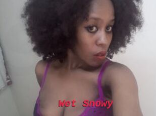 Wet_Snowy