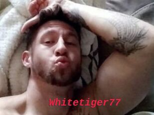 Whitetiger77