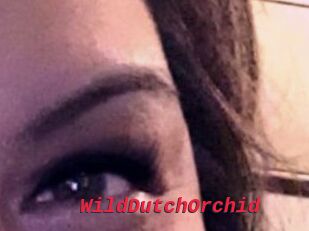 WildDutchOrchid