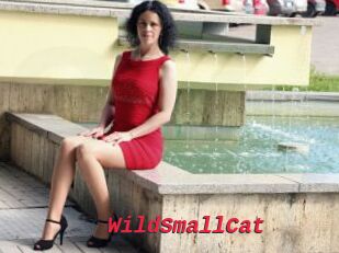 WildSmallCat