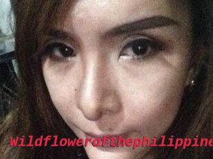 Wildflowerofthephilippines