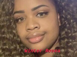 Winter_Rosea