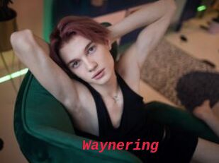 Waynering