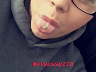 Wetpussy210