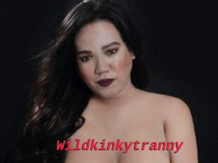 Wildkinkytranny