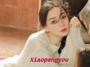 Xiaopengyou
