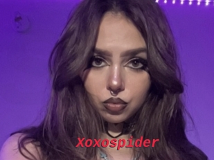 Xoxospider