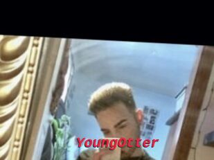 YoungOtter