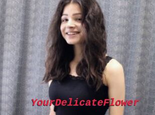 YourDelicateFlower