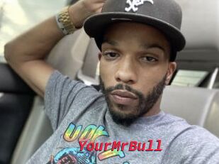 YourMrBull