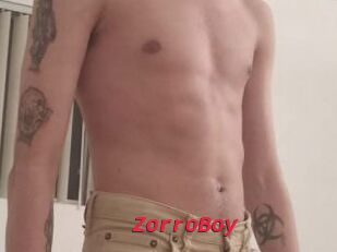 ZorroBoy
