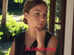 Zeldadrudge